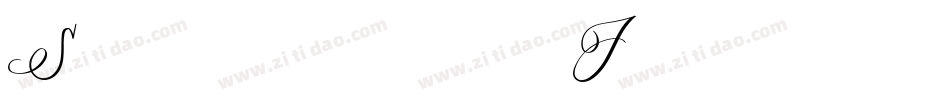 Salernomi J字体转换